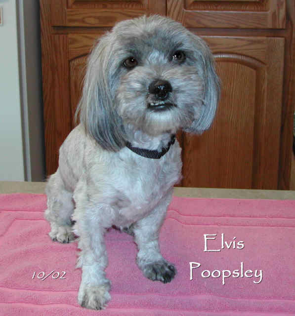 Elvis